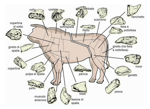 Beef Meat Cuts