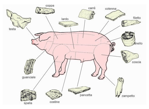 Pork Meat Cuts